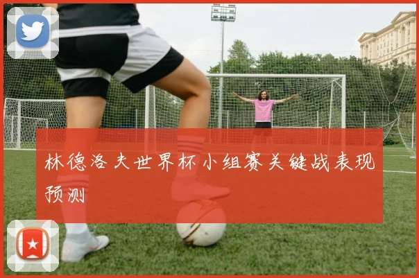 林德洛夫世界杯小组赛关键战表现预测