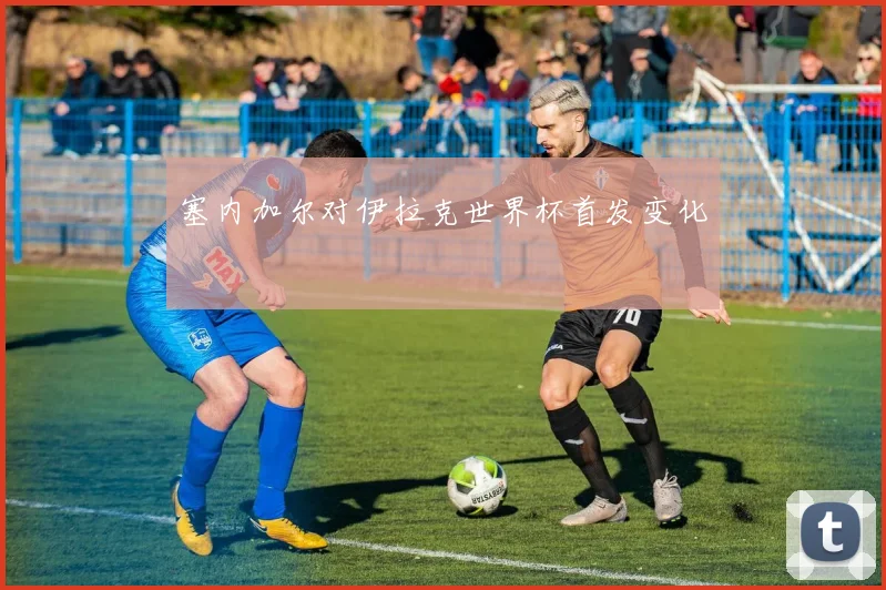 塞内加尔对伊拉克世界杯首发变化