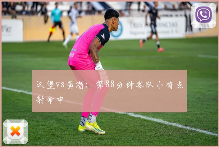 汉堡vs黄潜：第88分钟客队小将点射命中