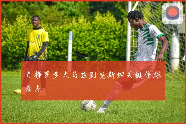 肖穆罗多夫乌兹别克斯坦关键传球看点