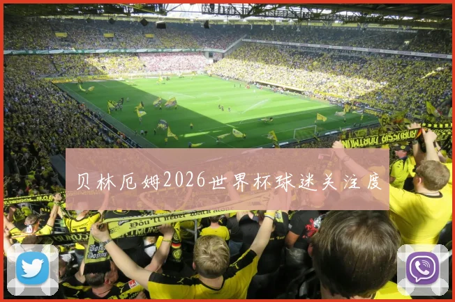 贝林厄姆2026世界杯球迷关注度