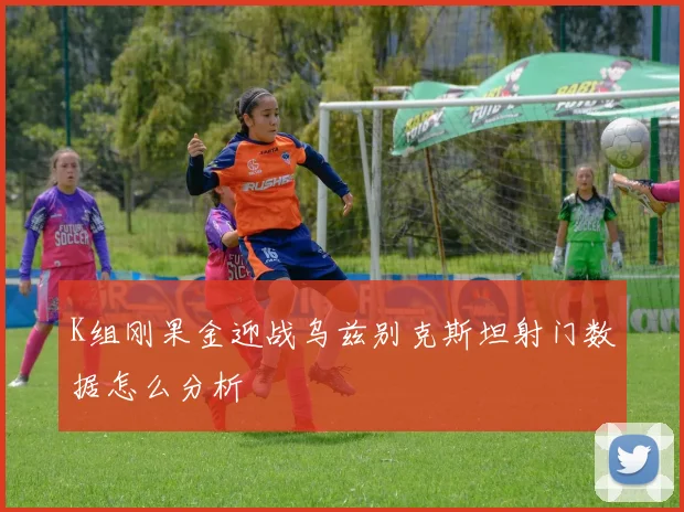 K组刚果金迎战乌兹别克斯坦射门数据怎么分析