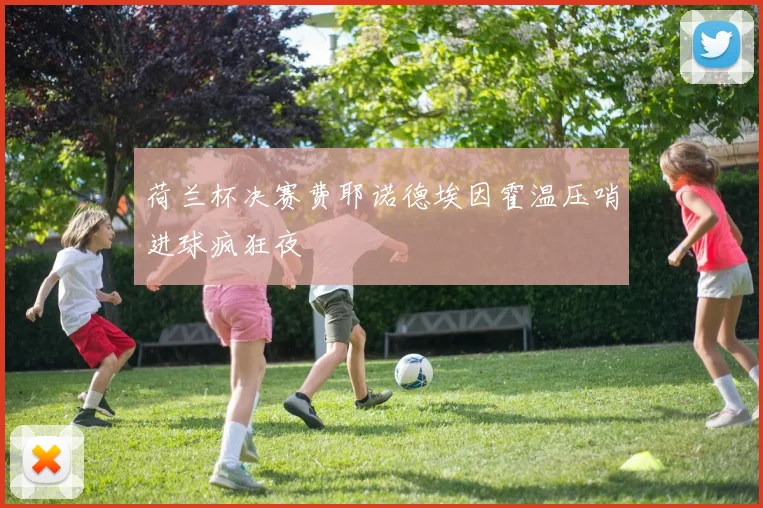 荷兰杯决赛费耶诺德埃因霍温压哨进球疯狂夜